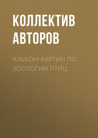 Коллектив авторов. Альбом картин по зоологии птиц