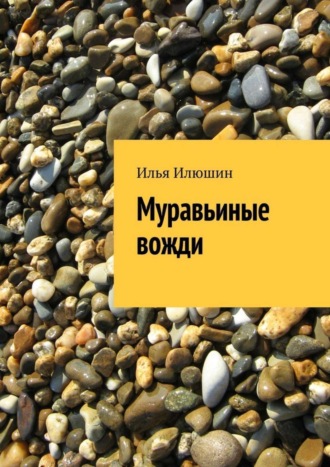 Илья Илюшин. Муравьиные вожди