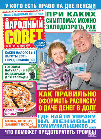 Народный совет №13/2020. Группа авторов