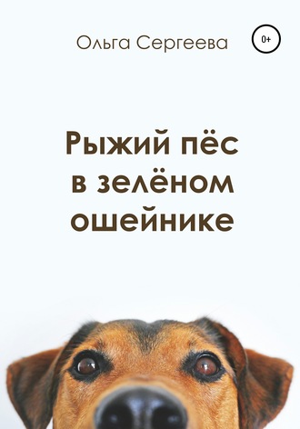 Ольга Сергеева. Рыжий пёс в зелёном ошейнике