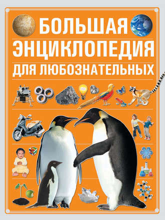 Большая энциклопедия для любознательных. 