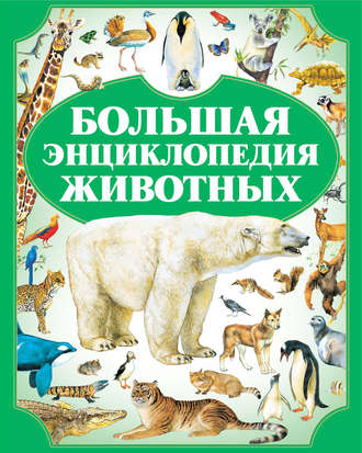Группа авторов. Большая энциклопедия животных