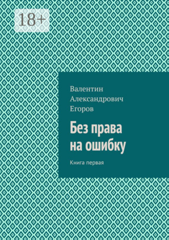 Валентин Александрович Егоров. Без права на ошибку. Книга первая