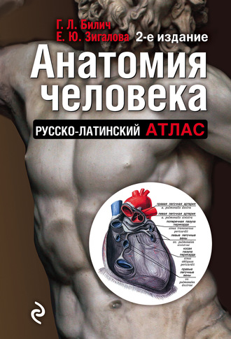 Анатомия человека. Русско-латинский атлас. 