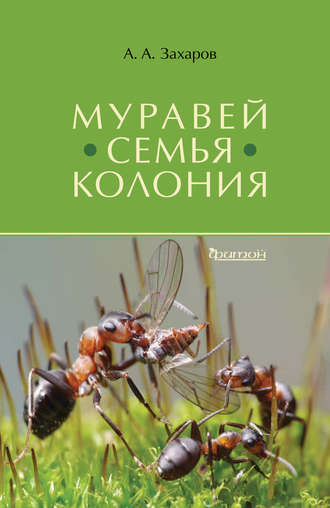 Анатолий Захаров. Муравей. Семья. Колония