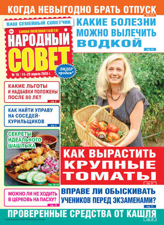 Народный совет №16/2020. Группа авторов