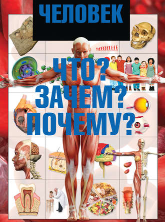 И. Е. Гусев. Человек. Что? Зачем? Почему?
