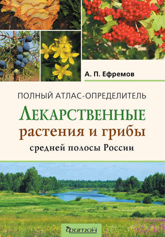 А. П. Ефремов. Лекарственные растения и грибы средней полосы России