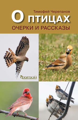 О птицах. Очерки и рассказы. Тимофей Черепанов