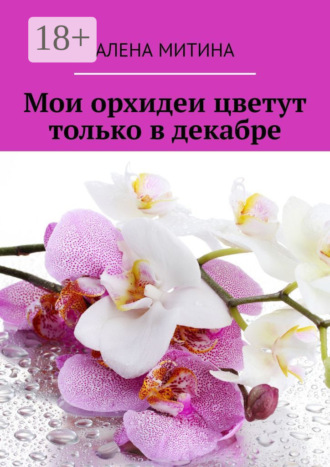 Мои орхидеи цветут только в декабре. Алена Митина