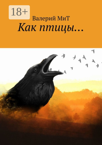 Валерий МиТ. Как птицы…