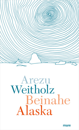 Arezu Weitholz. Beinahe Alaska