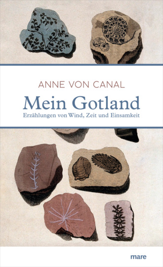 Anne von Canal. Mein Gotland