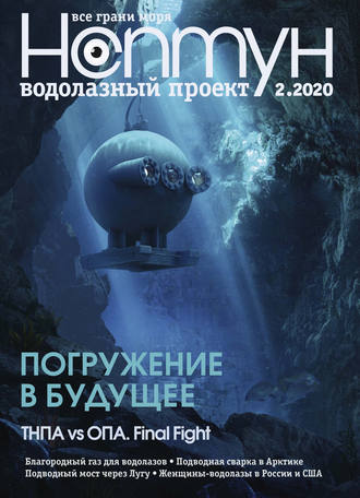 Группа авторов. Нептун №2/2020