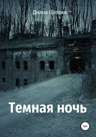 Тёмная ночь. Диана Павловна Попова