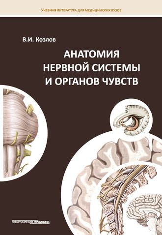 В. И. Козлов. Анатомия нервной системы и органов чувств