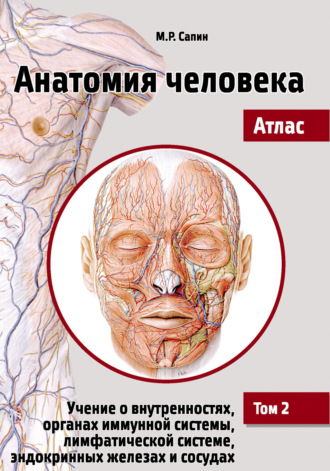 М. Р. Сапин. Анатомия человека. Атлас. Том 2. Учение о внутренностях, органах иммунной системы, лимфатической системе, эндокринных железах и сосудах