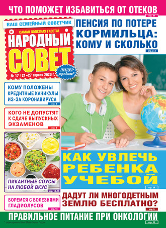 Народный совет №17/2020. Группа авторов