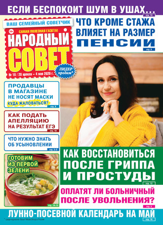 Народный совет №18/2020. Группа авторов