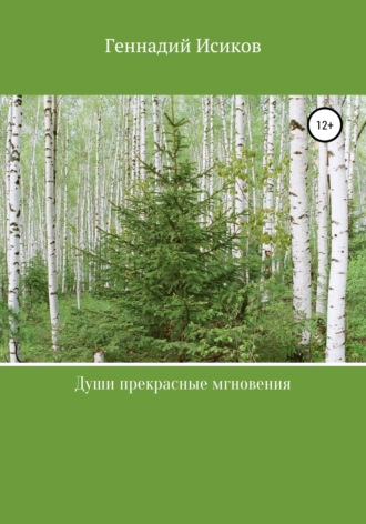 Геннадий Александрович Исиков. Души прекрасные мгновения