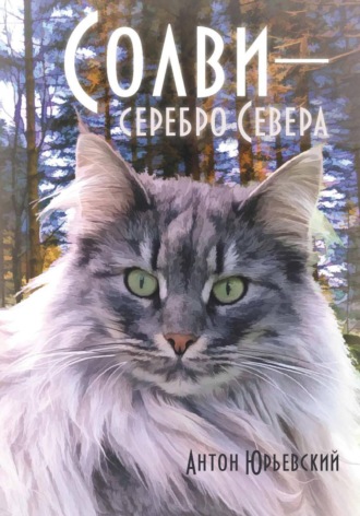 Солви - серебро Севера. 