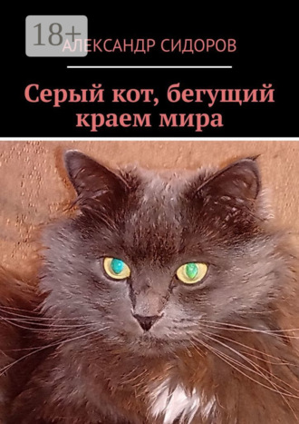 Александр Валентинович Сидоров. Серый кот, бегущий краем мира