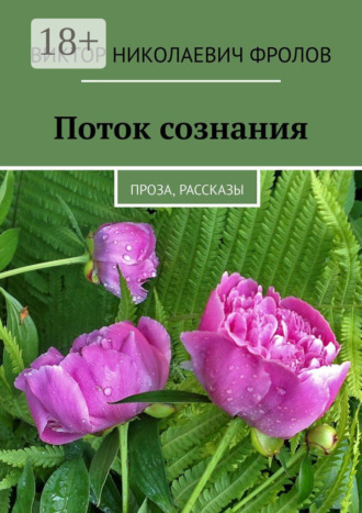 Виктор Николаевич Фролов. Поток сознания. Проза, рассказы