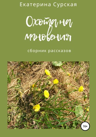 Охота на мгновения. Сборник рассказов. Екатерина Сурская