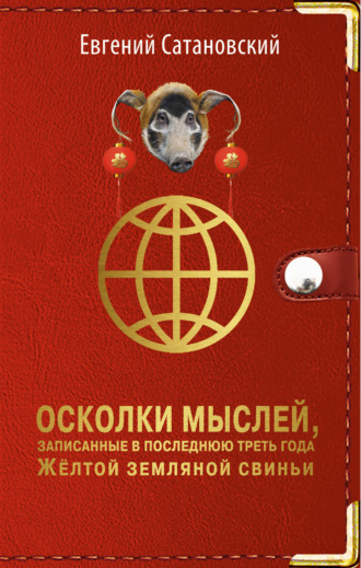 Осколки мыслей, записанные в последнюю треть года Жёлтой Земляной Свиньи. 