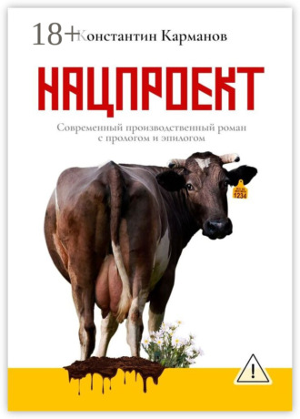 Нацпроект. Современный производственный роман с прологом и эпилогом. Константин Николаевич Карманов