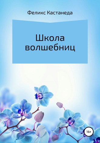 Школа волшебниц. Феликс Кастанеда
