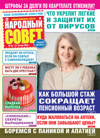 Народный совет №20/2020. Группа авторов