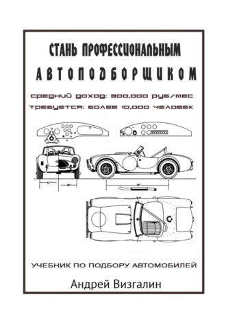 Стань профессиональным автоподборщиком. Андрей Сергеевич Визгалин