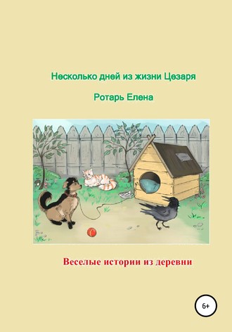Несколько дней из жизни Цезаря. Ротарь Елена