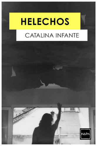Catalina Infante. Helechos