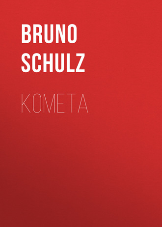 Bruno  Schulz. Kometa