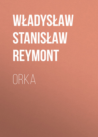 Władysław Stanisław Reymont. Orka
