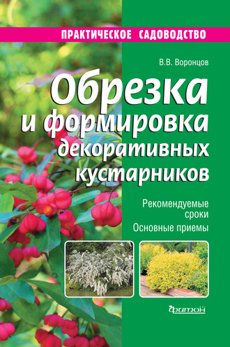 Обрезка и формировка декоративных кустарников. 