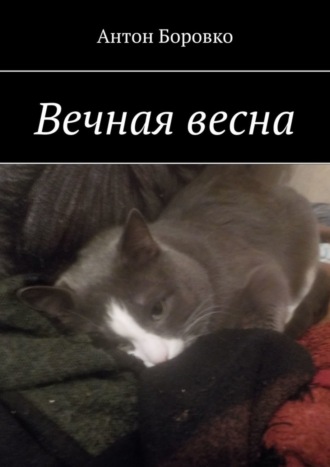Антон Боровко. Вечная весна