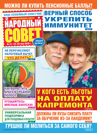 Народный совет №21/2020. Группа авторов