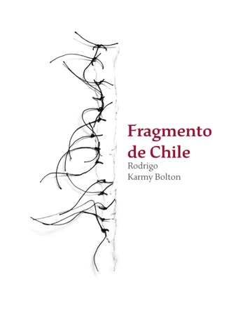 Rodrigo Karmy Bolton. Fragmento de Chile
