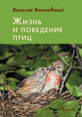 Василий Вишневский. Жизнь и поведение птиц