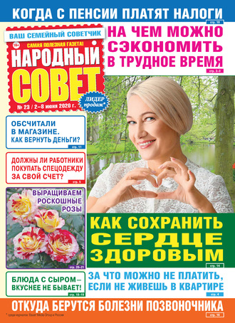 Народный совет №23/2020. Группа авторов