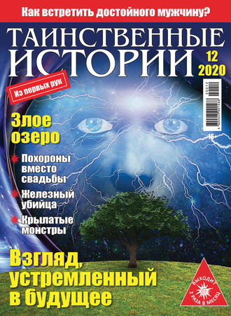 Таинственные истории №12/2020. Группа авторов