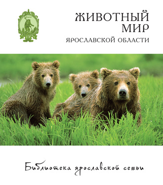 Животный мир Ярославской области. Юрий Маслов