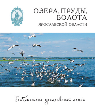 Озёра, пруды, болота Ярославской области. Дмитрий Власов