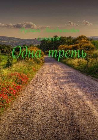 Одна треть. Рустам Атаджанович Сетдаров