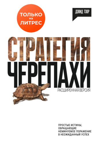 Дэвид Тзор. Стратегия черепахи
