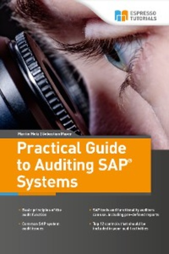 Martin Metz. Practical Guide to Auditing SAP Systems
