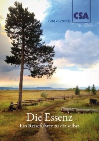 Die Essenz. Gerd Valentinelli